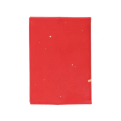 Agenda feutrine 2025 Kiki & Jiji sur le balai - Kiki la petite sorciè