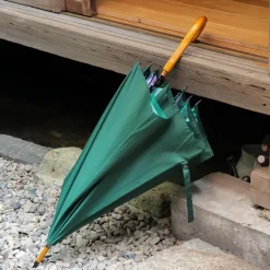 Parapluie Rencontre mystérieuse - Mon Voisin Totoro