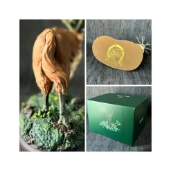 Statue résine Dieu Cerf - Princesse Mononoké